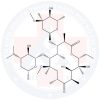 hinh-anh-cau-truc-Clarithromycin